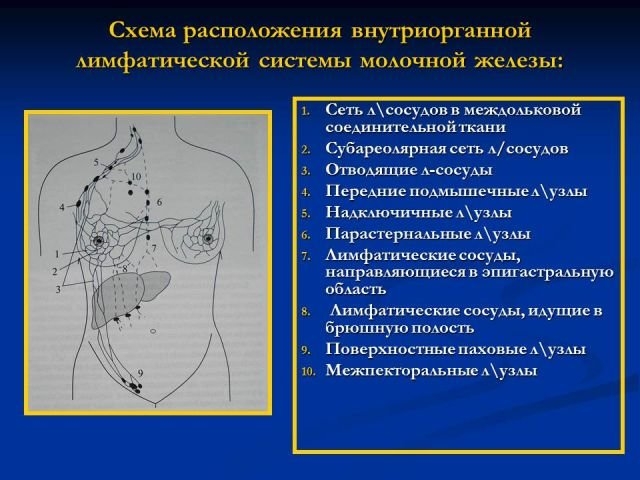 Молочные железы до и после родов фото